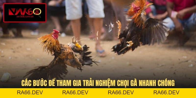 Đá Gà Thomo - Tận Hưởng Trận Đấu Đầy Nghẹt Thở Tại VN168 - RA66.DEV