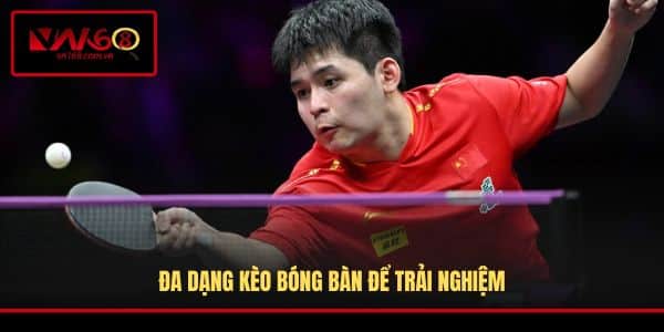 Cá Cược Bóng Bàn - Tìm Hiểu Hình Thức Cược Thể Thao Nổi Bật - RA66.DEV