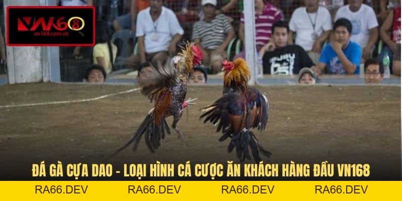 Đá Gà VN168 - Hình Thức Giải Trí Cá Cược Đầy Kịch Tính - RA66.DEV