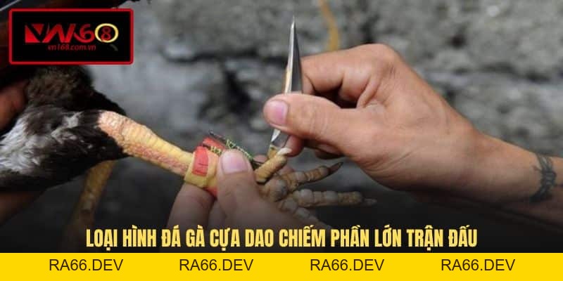 Đá Gà Cựa Dao - Loại Hình Cá Cược Ăn Khách Hàng Đầu VN168 - RA66.DEV