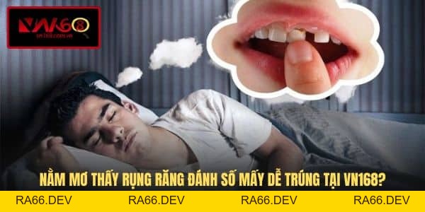 Blog VN168 - Góc Nhìn Mới Và Thông Tin Về Cá Cược - RA66.DEV