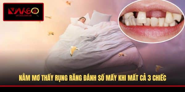 Nằm Mơ Thấy Rụng Răng Đánh Số Mấy - Danh Sách Số Đẹp Nên Tham Khảo - RA66.DEV