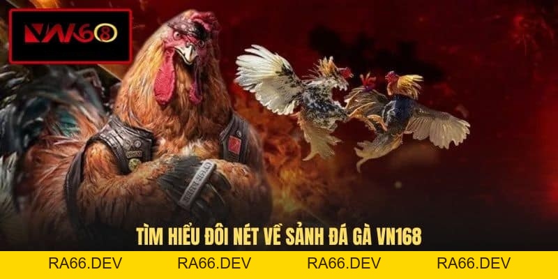 Đá Gà VN168 - Hình Thức Giải Trí Cá Cược Đầy Kịch Tính - RA66.DEV